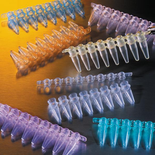PCR Tubes