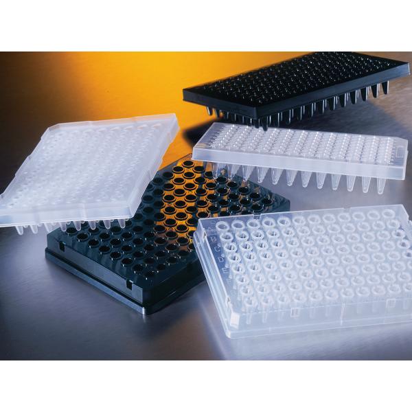 corningThermowellGold96WellPolypropylenePCRMicroplates, Omnilab