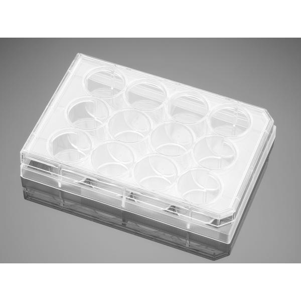 falconCellCultureInsertCompanionPlates, Omnilab