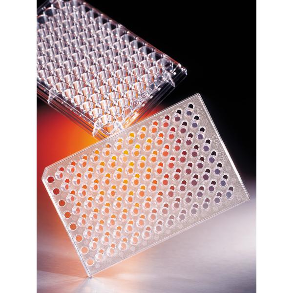 hTSTranswell96WellPermeableSupports, Omnilab