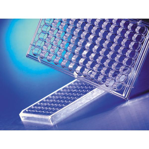 hTSTranswell96WellPermeableSupportsRecieverPlate, Omnilab