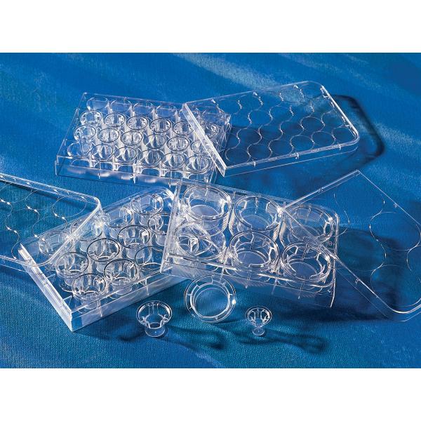 transwellClearInsertsPolyesterPETMembrane, Omnilab