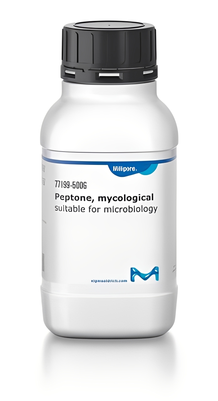 77199-500G, Merck